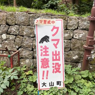クマいるのでしょうか？