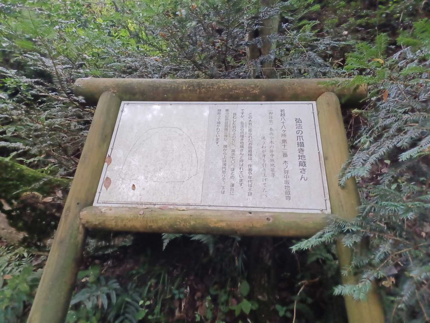 木ノ芽峠-鉢伏山 往復コースの写真