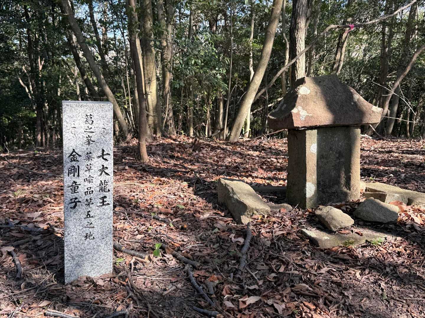土仏峠-上朽仏山登山口-上朽仏山 往復コースの写真