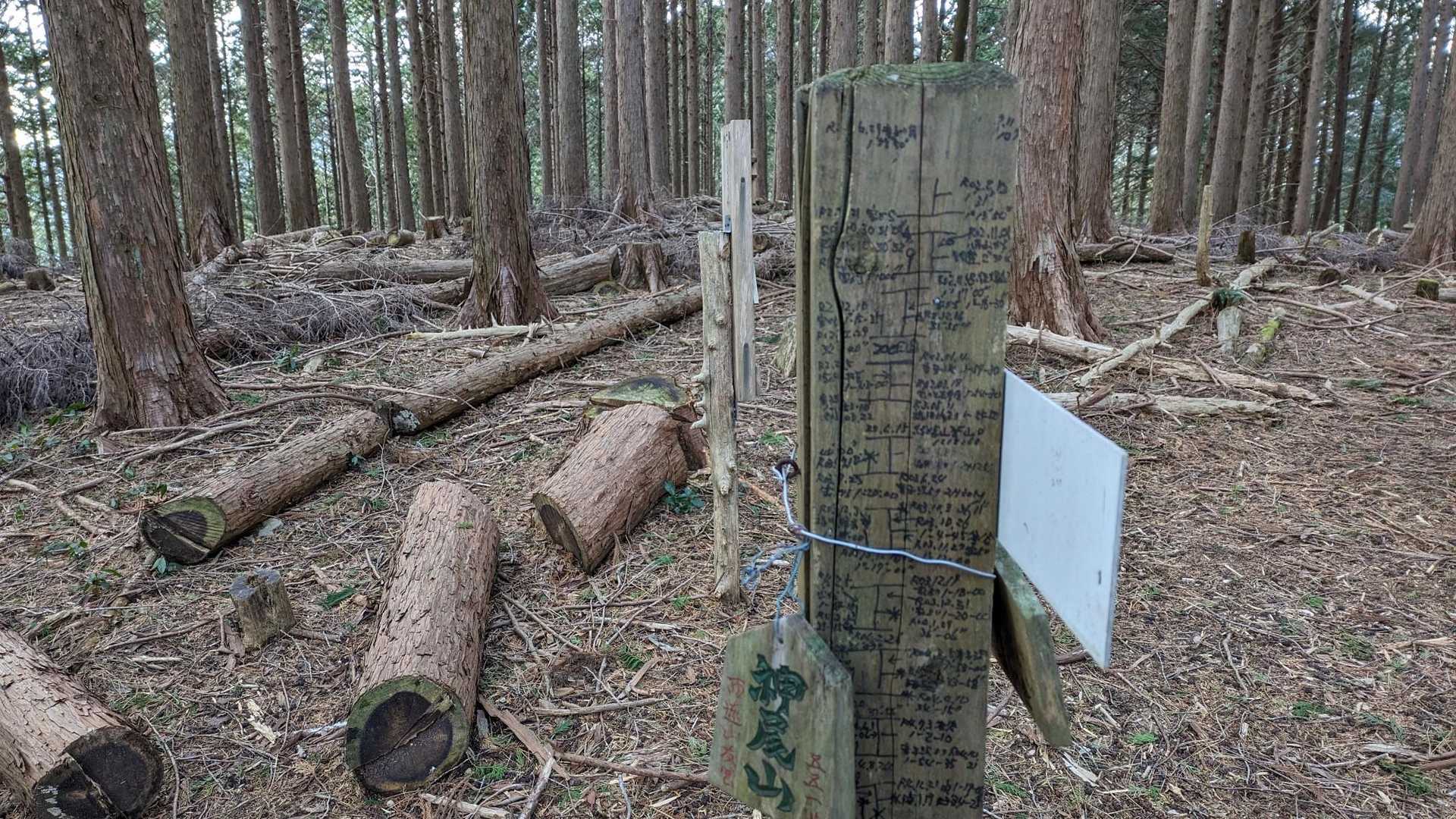 神尾山に戻ってきました。いっぱい書いてあります