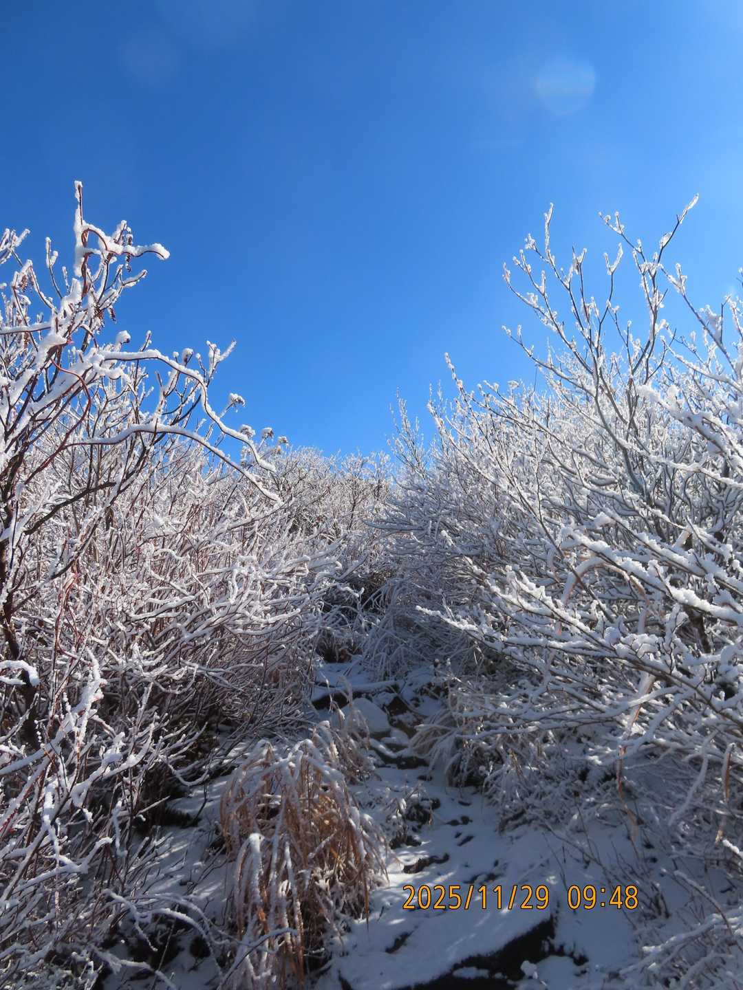 取立山登山口-取立山 往復コースの写真