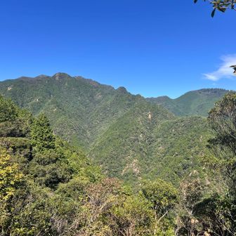 仙ヶ岳と野登山