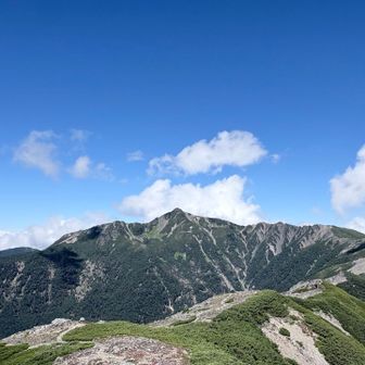 塩見岳を南の蝙蝠尾根から見る。北、西側の荒々しい印象と異なり、緑の優しい姿。