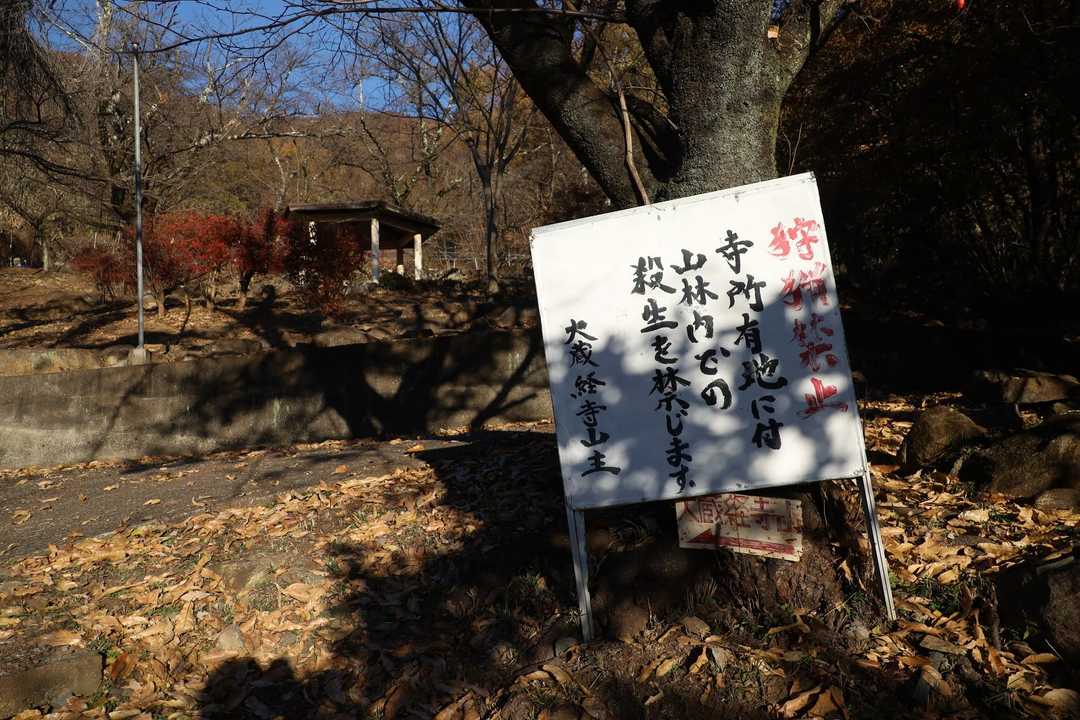 山林内での殺生禁止