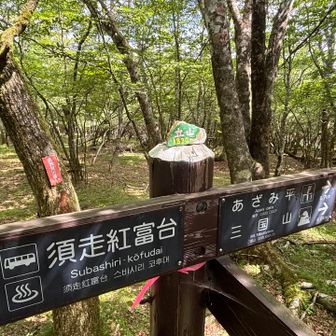 立山に到着