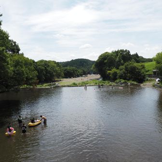 巾着田の川辺で水遊びしてる、気持ちよさそう〜