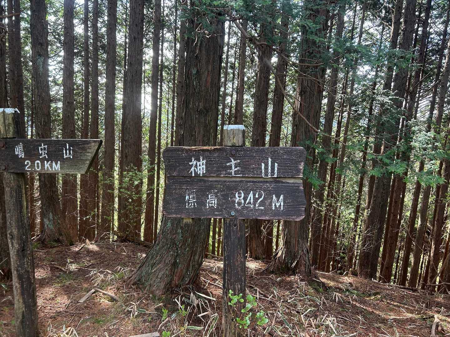 鳴虫山登山口-神ノ主山-鳴虫山-合峰-独標 縦走コースの写真