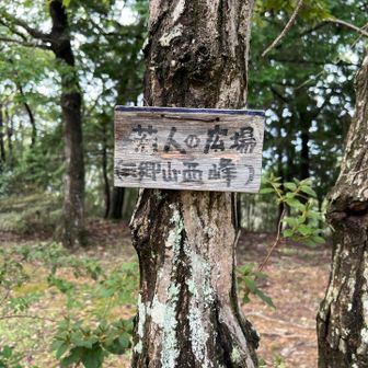 なんかここはいろいろ看板ある