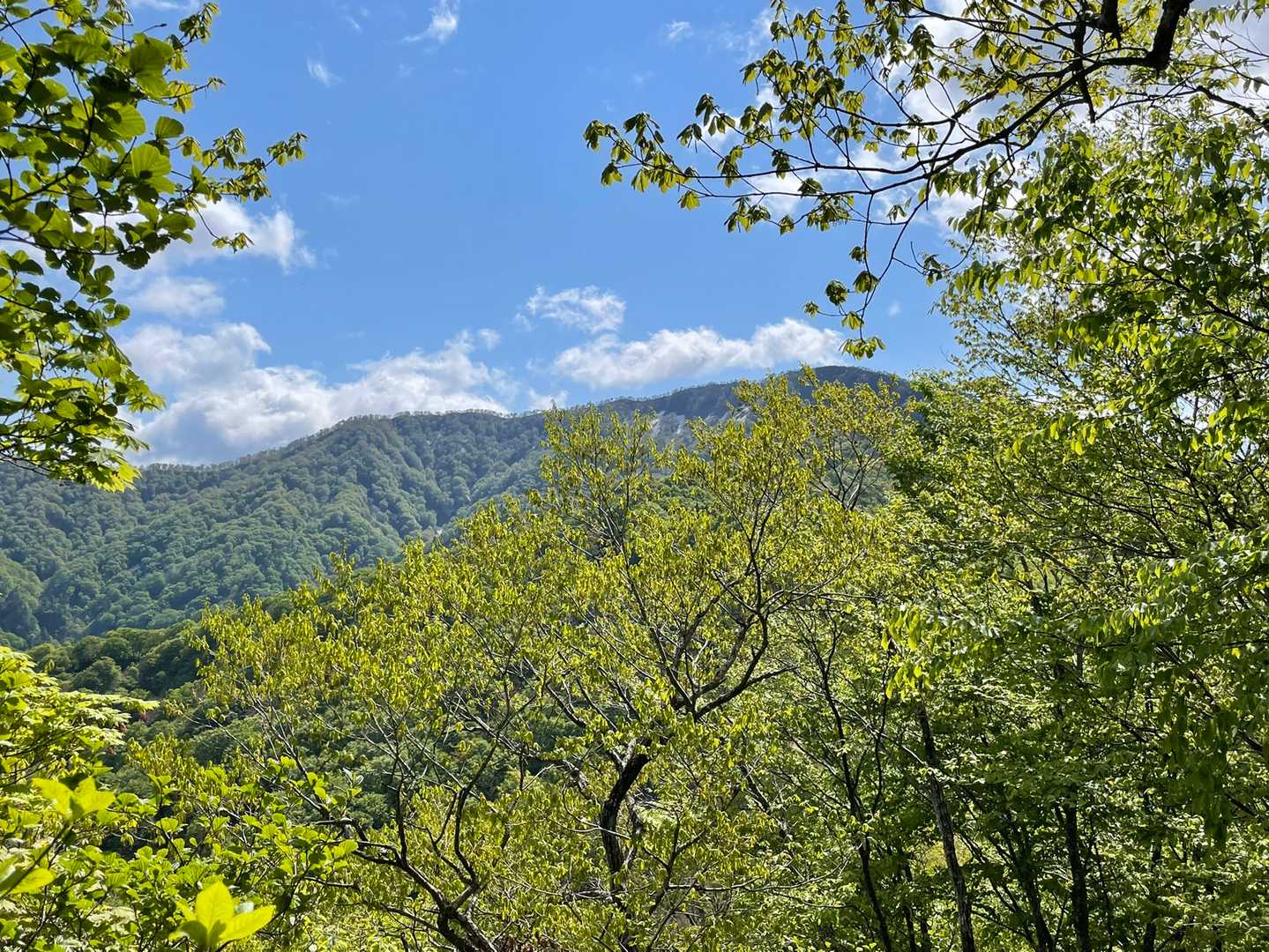摩耶山を確認