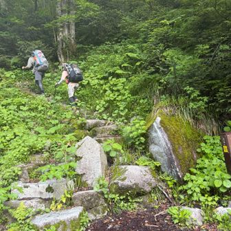 笠ヶ岳登山口
前の方も「登りたくねえな」と呟いてました😊