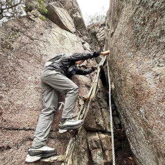 さて、こちらから直登ルートになりました！
ここは初めてなので嬉しい！
しかし、結構不安定な木よー😂
