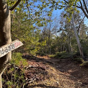 河上神社⛩️からゆるぎ岩🪨へ