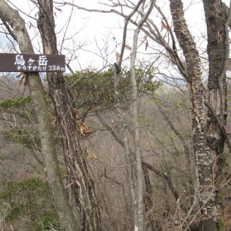 烏ヶ岳に到着💨