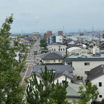 今来た道