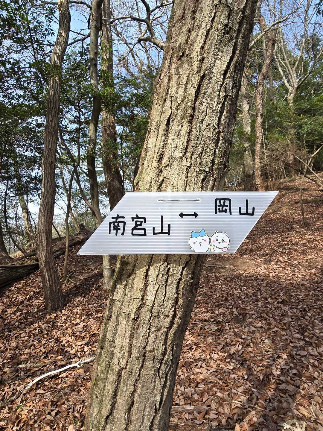敢国神社バス停-南宮山登山口-南宮山-岡山-大光寺-北向地 周回コースの写真