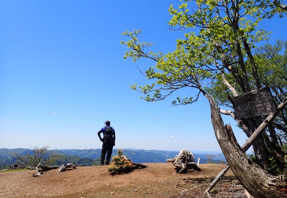 555｜滋賀県の登山記録 | YAMAP / ヤマップ