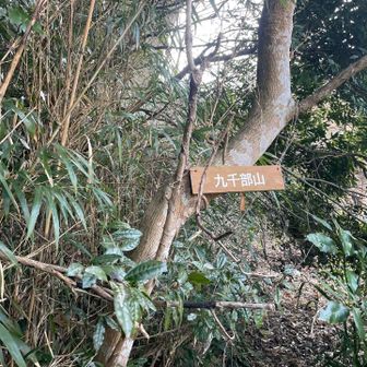  今から2km400UP😅