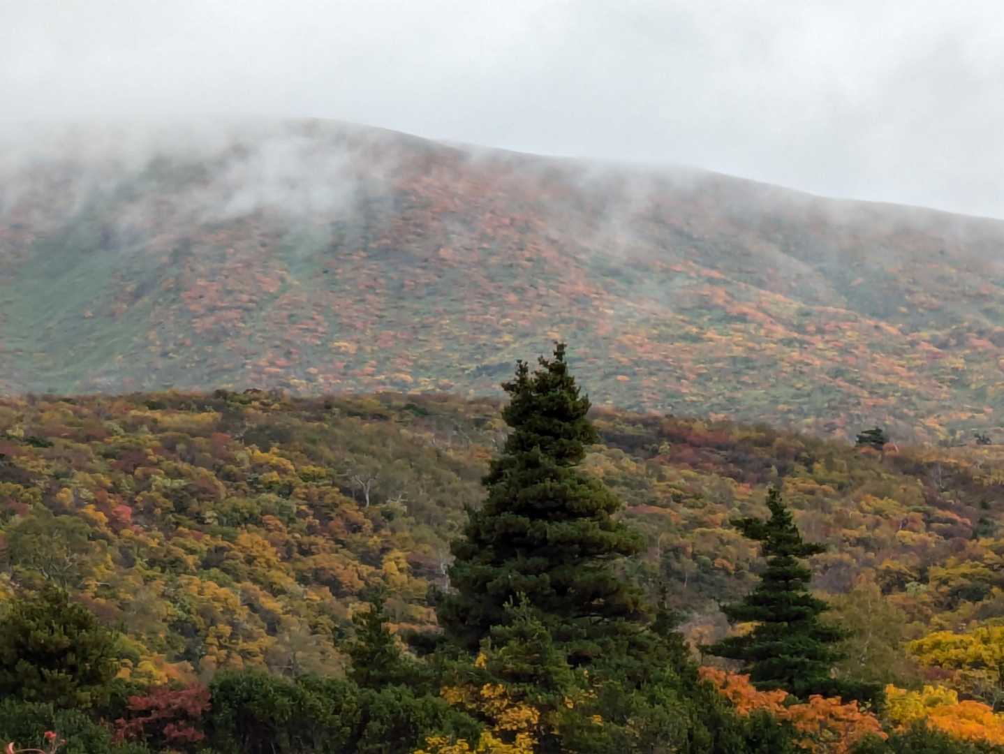 ガスが流れる栗駒山山頂⛰️
ガスの間からでも、紅葉🍁が進んでいることがわかります❣