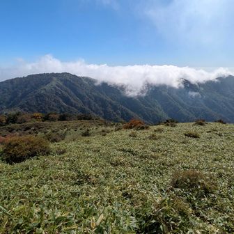 振り返ると、塔ノ岳〜丹沢山間はまだ雲に覆われています。