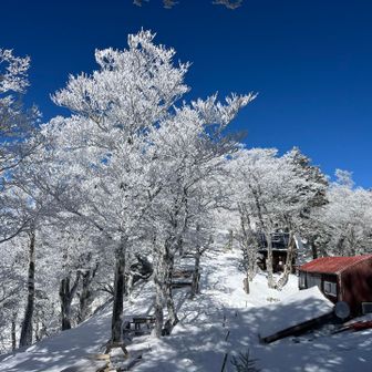 🛖 稲村ヶ岳山荘+霧氷+青空