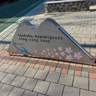 ヤマザクラバスまで降りてきました。
楽チン🚌で岩瀬駅に戻ります
ピストンはいつかやらないと！