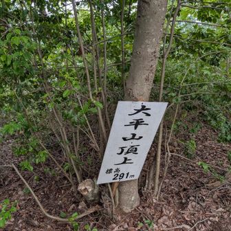 今日はここまでですね。
ちなみに眺望は良くないです。