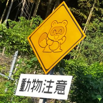 たぬぅきぃ