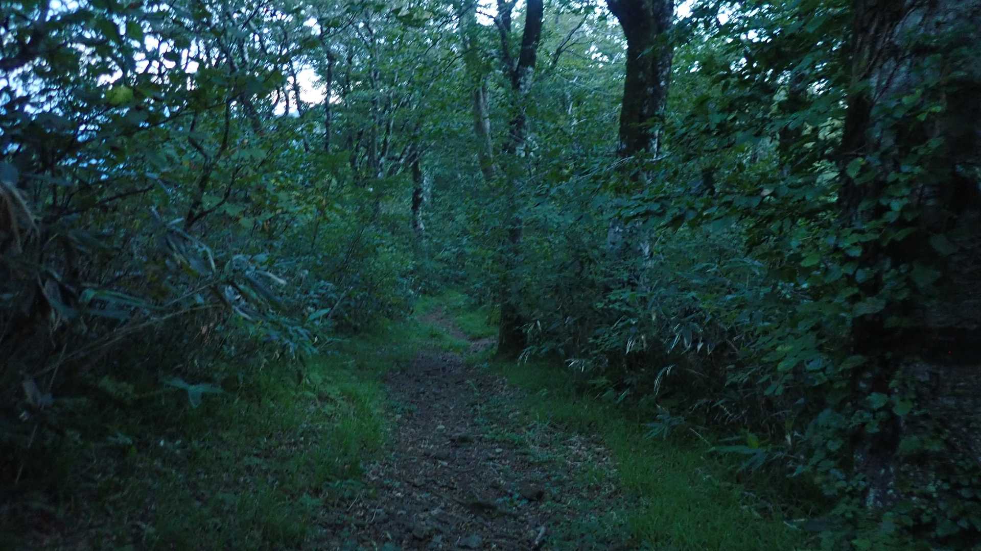 なんか薬莱山の方がキツイような気がしてしまう