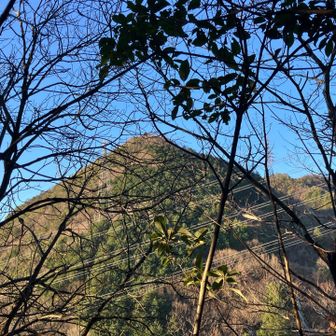 猿啄城址(城山)は戻りで