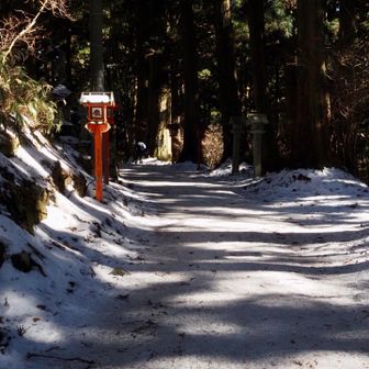 参道から、下山ルートのダイトレヘ