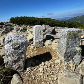 山頂の3つの三角点。調べてみました
右：国土地理院管轄の正式な三等三角点。明治27年に当時の陸地測量部によって設置
真ん中：旧山林局の「主三角点」。明治時代に農商務省山林局が設置した森林管理のための最高位の基準点。正式な三角点と比べると頭部の四隅の角が滑らかに丸められている。格好いい「山」という文字あり。国土地理院が全国を網羅する前に北アルプスの国有林の正確なエリアを把握し、富山（越中）や長野（信濃）との旧国境（県境）をはっきりさせるために設置。
左：謎の三角点。明治の山林測量時に建てられた「次三角点」または「県境・御料林の境界標石」の可能性あり。激しく摩耗。文字も削れて読めない。
正式な三角点が設置されると昔の三角点は撤去されるが、こうして残されていることが珍しい。その理由は不明だが、三県境ゆえに残したか。