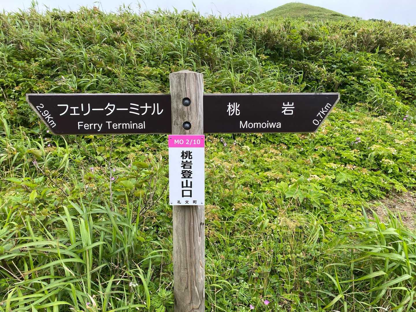 登山口