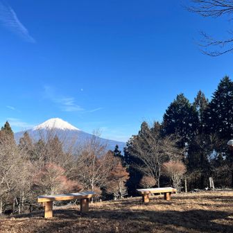 休憩スポットも良い眺め