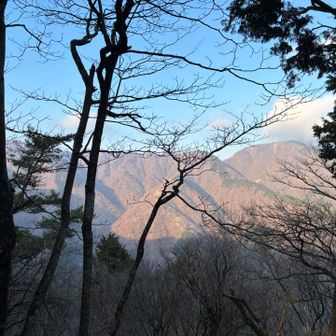 久しぶりに表尾根も登りたいです