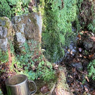 独鈷水涸れずに、
水を井田前に🍂と掃除、石像へお水。