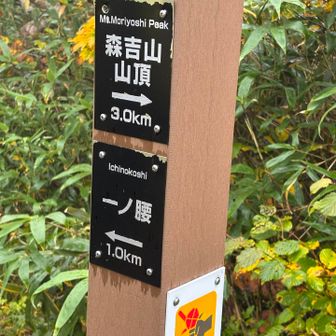 神社の横は分岐になってます
一ノ瀬は歩いて登ってくる登山口に行けます。
昔６月に下から歩いて登ってきましたよ！
我々仲間の登山組は森吉山へ向かいます