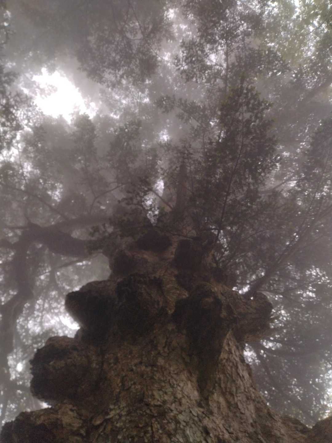 神秘的