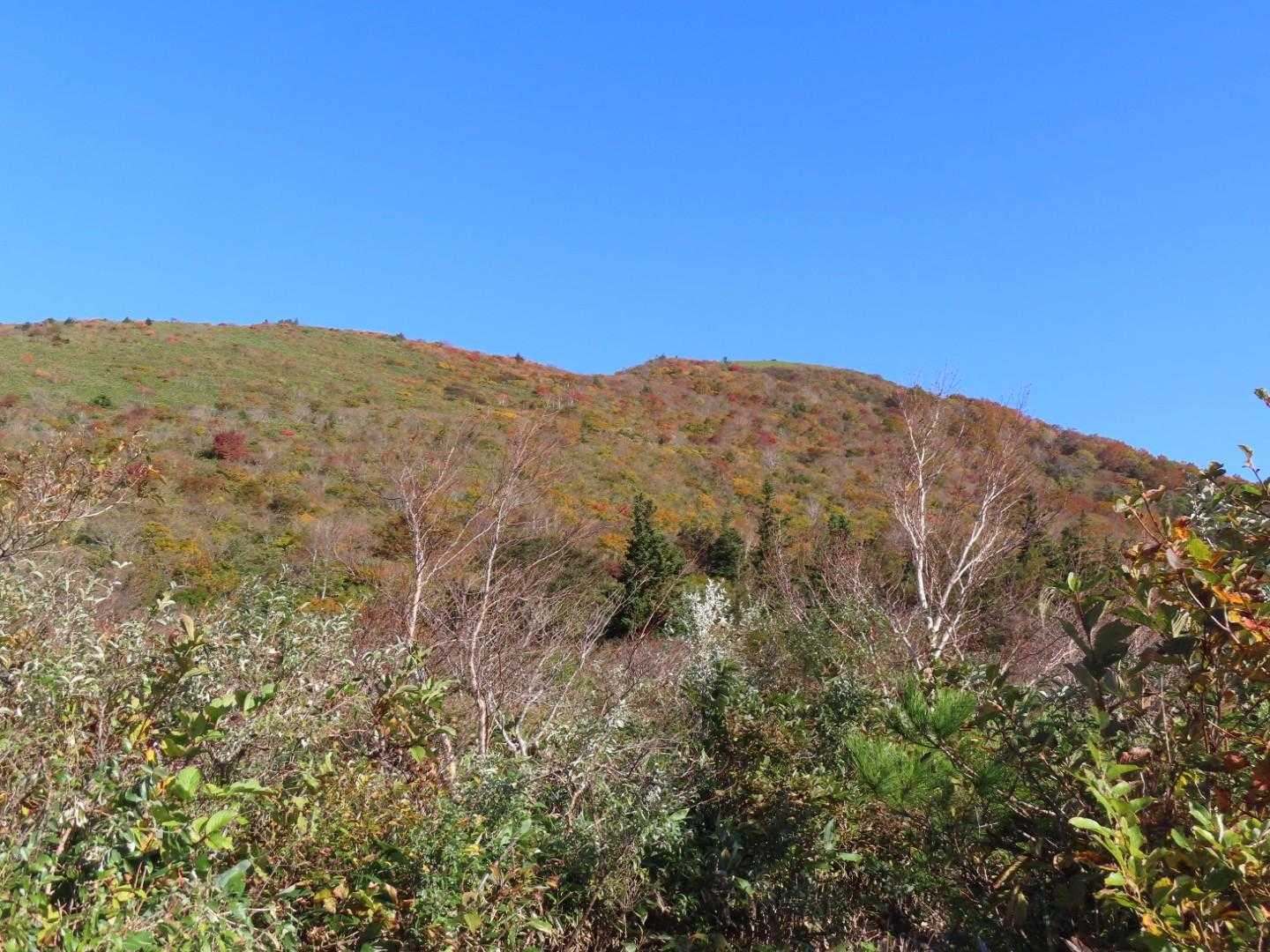 宮城山形県境の笹谷峠からスタート🚶🚶🚶