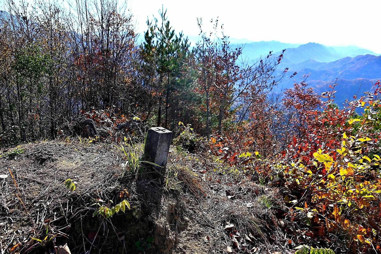 大姥山 周回コースの写真