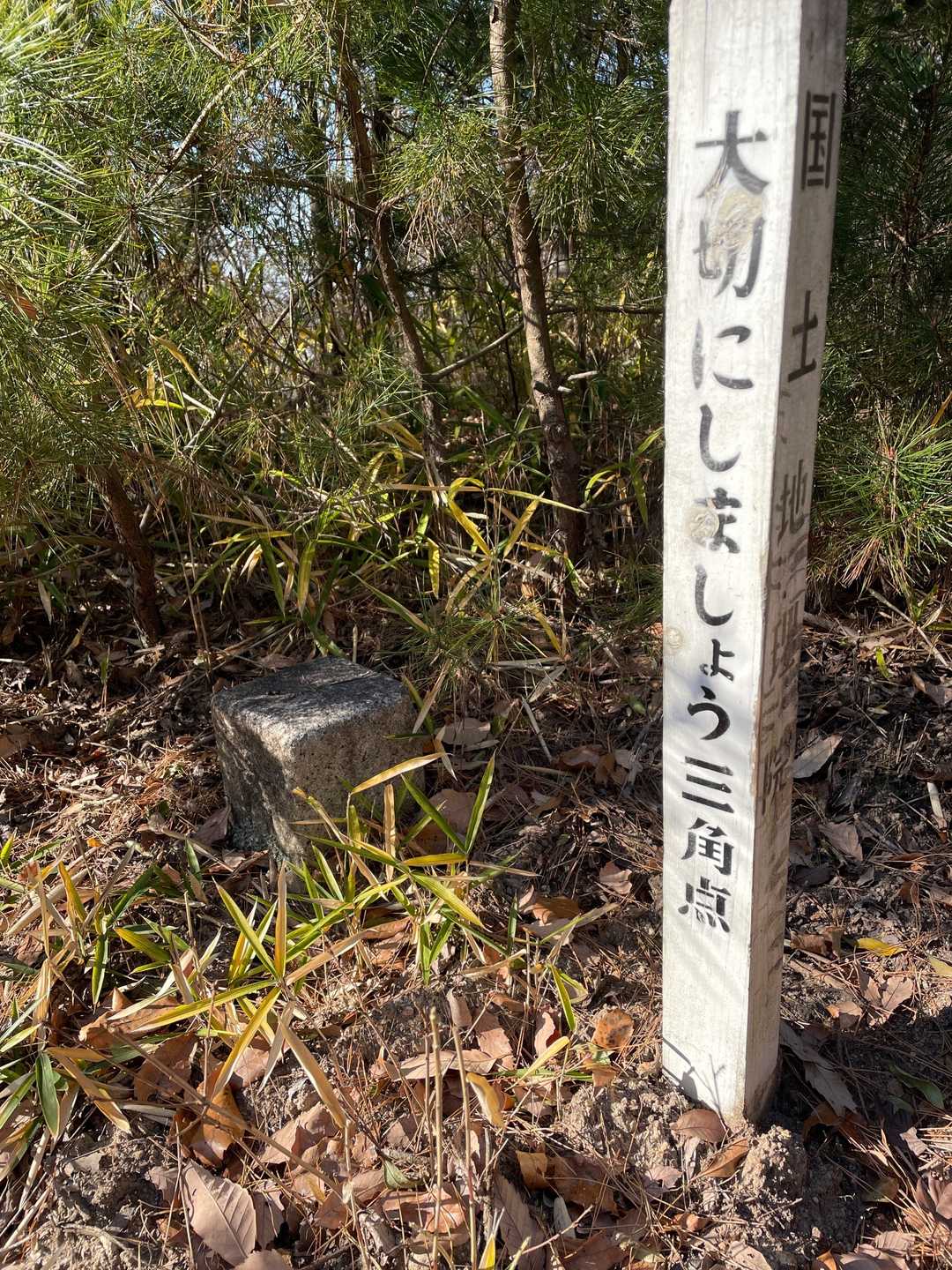 ピークお疲れ山⛰