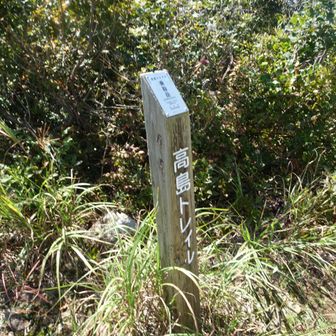 ③乗鞍岳に到着⛰️