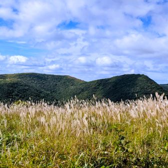 竜王山からの眺め
池の段   立烏帽子山 
ススキ🌾🌾