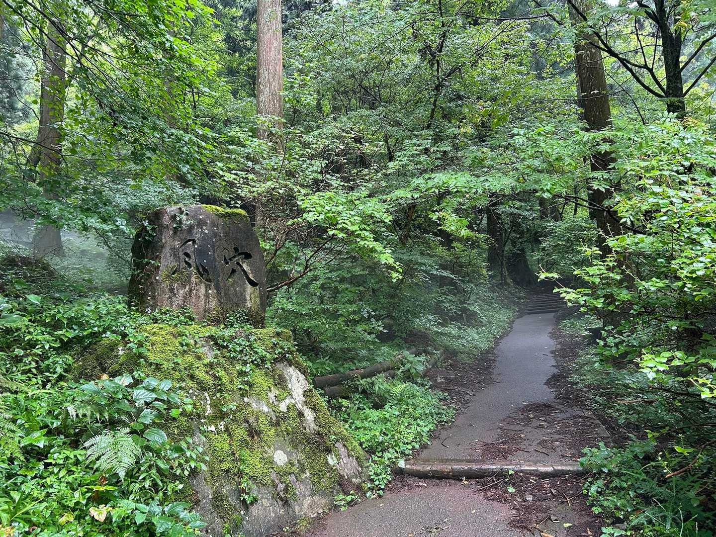 風穴登山口-皿ヶ嶺 周回コースの写真