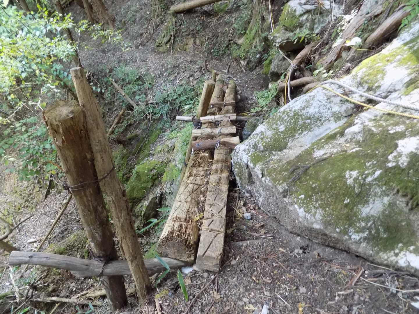 濡れてたら滑って恐そうな丸太橋