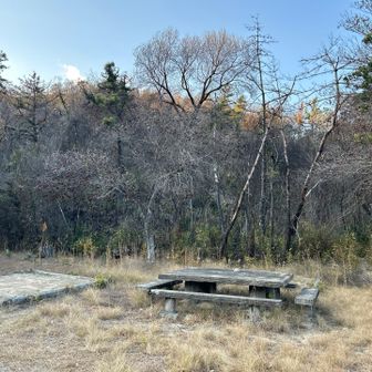 キャンプ場🏕️はギリギリで難を逃れてて
緑🌿が戻っていつか、ここでキャンプ出来たら嬉しいな！って思いました🌱