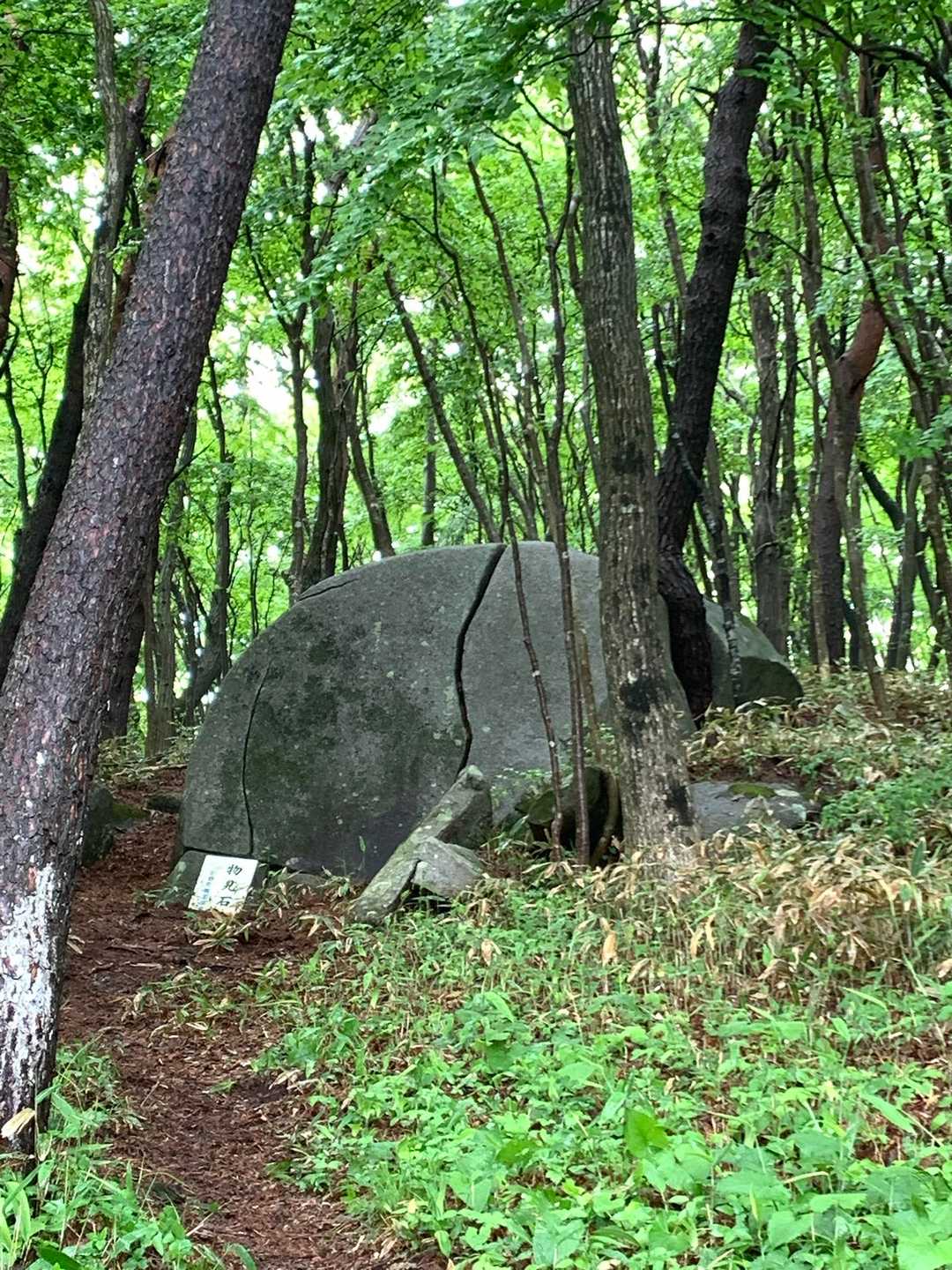 岩！あった！🪨