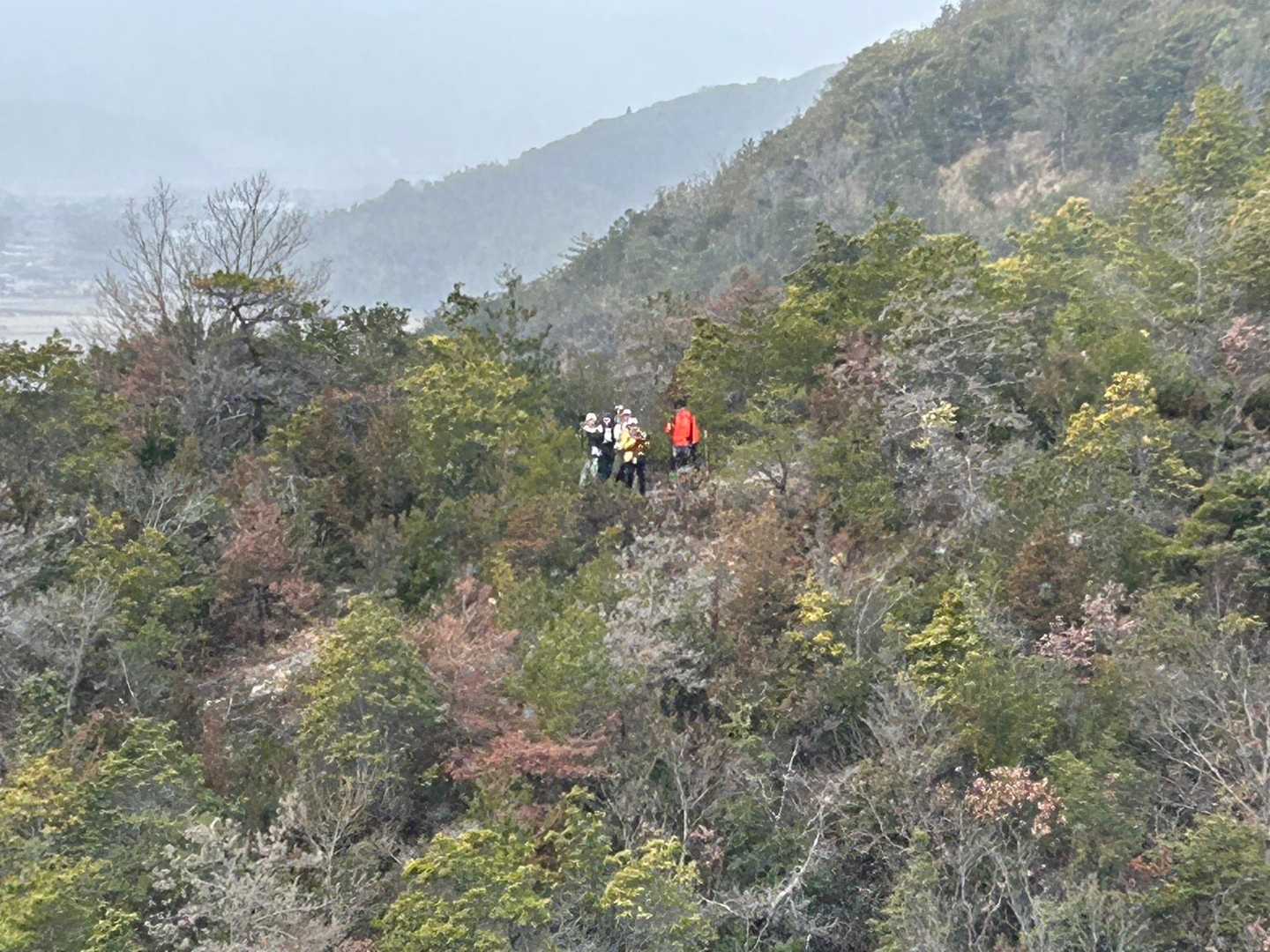 向こうから手を振ってくれた。