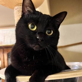 あーちゃんパパ