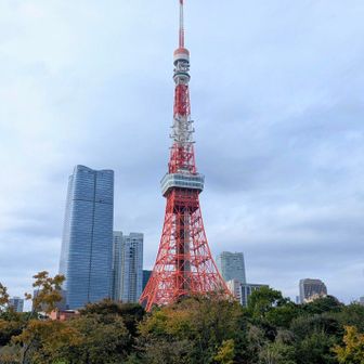 芝公園からの東京タワー🗼
エモいね🤩