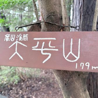 おおひらやま
いつも読み方忘れてしまいます。